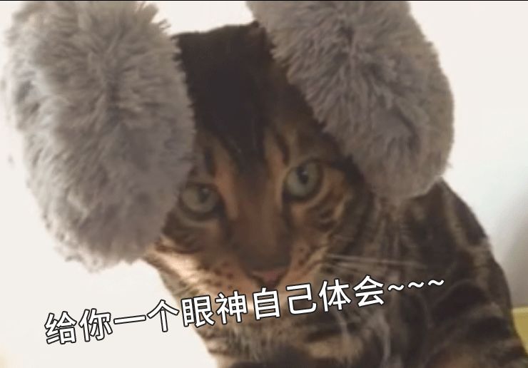 定投赚钱术,定投赚钱的十大原因