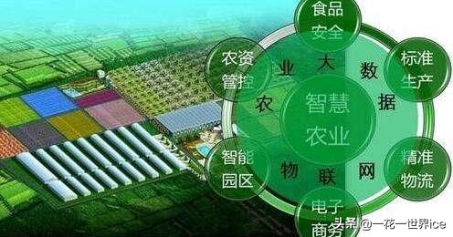 基层农业信息化推广方案,农业信息化技术推广工作