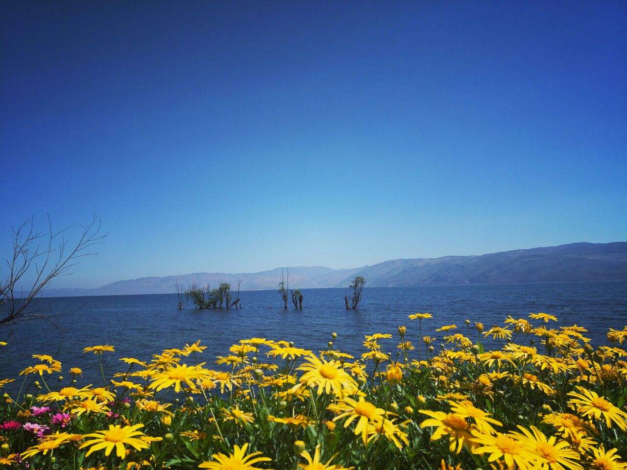 七彩云南游免费景点,云南旅游有哪些产品