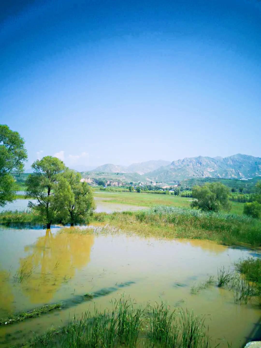 滹沱河畔冬日美景,滹沱河边漫步赏美景