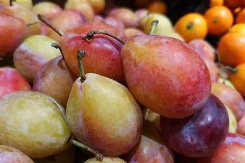 西梅怎样挑选是新鲜的,怎样挑选新鲜西梅吃