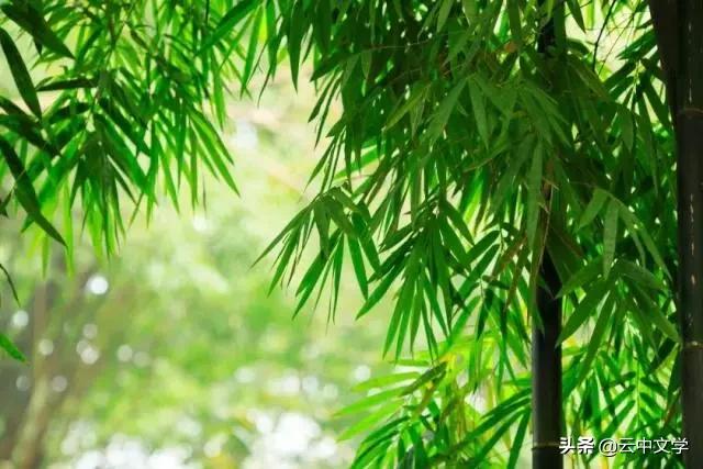 收藏100首夏日诗词带你清凉一夏,100首夏日诗词助你清凉一夏