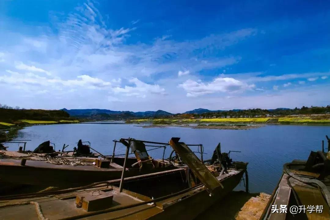 成都看花玩水,成都春游看花