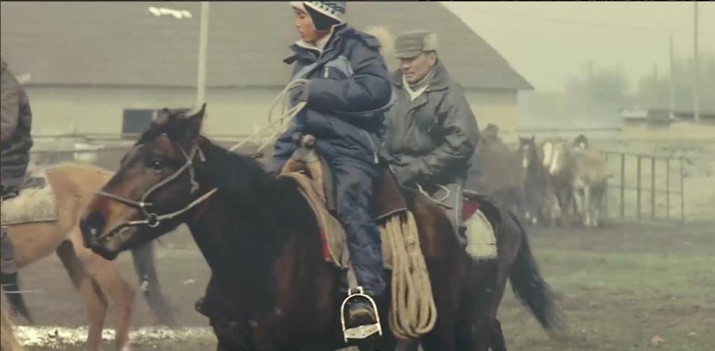 75岁老头被狼群追杀徒手大战狼群,放羊老汉遭遇狼群