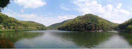 你知道竹海“美容师”吗？她拥有宜兴竹海的最美背影