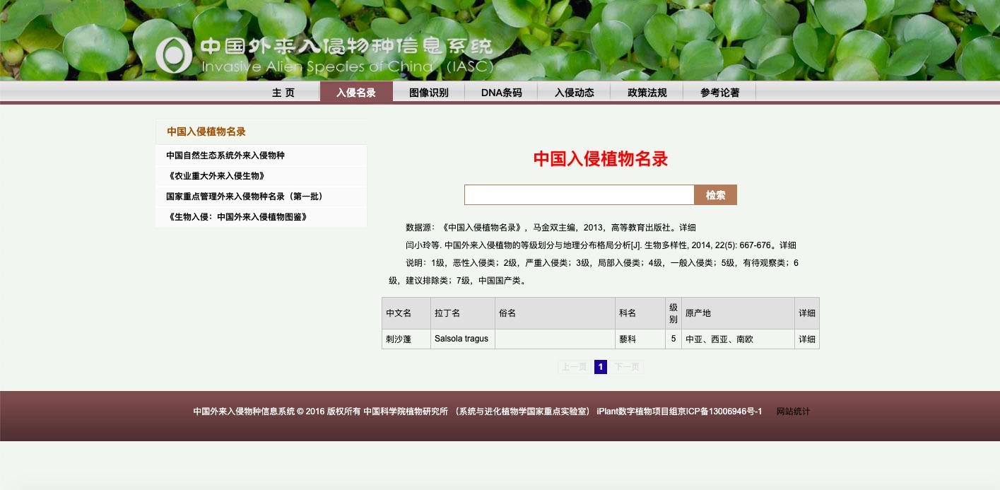 风滚草入侵外国公路,风滚草入侵中国后怎样了