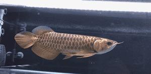 分享创富最佳方法,分享快速致富好项目