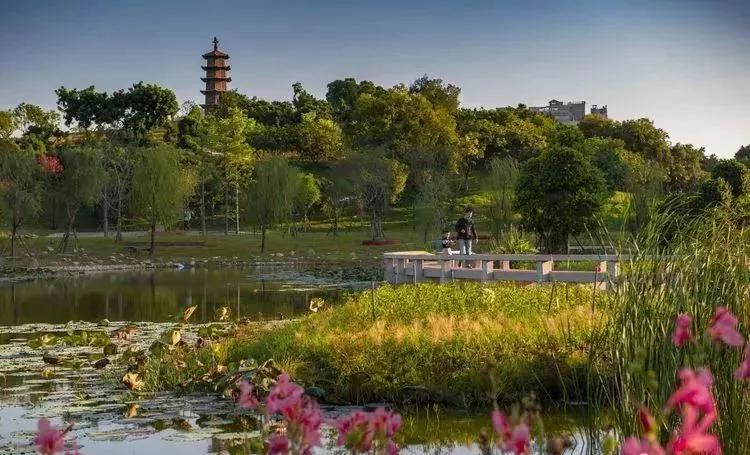 有玩有吃的礼物,有玩有吃的旅游景点