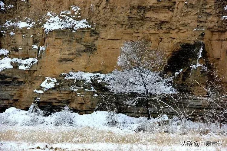 延安2019年第一次下雪是什么时候,延安初雪的时候