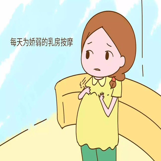 怀孕后乳房内部变化,怀孕七个月乳房没有变化怎么回事