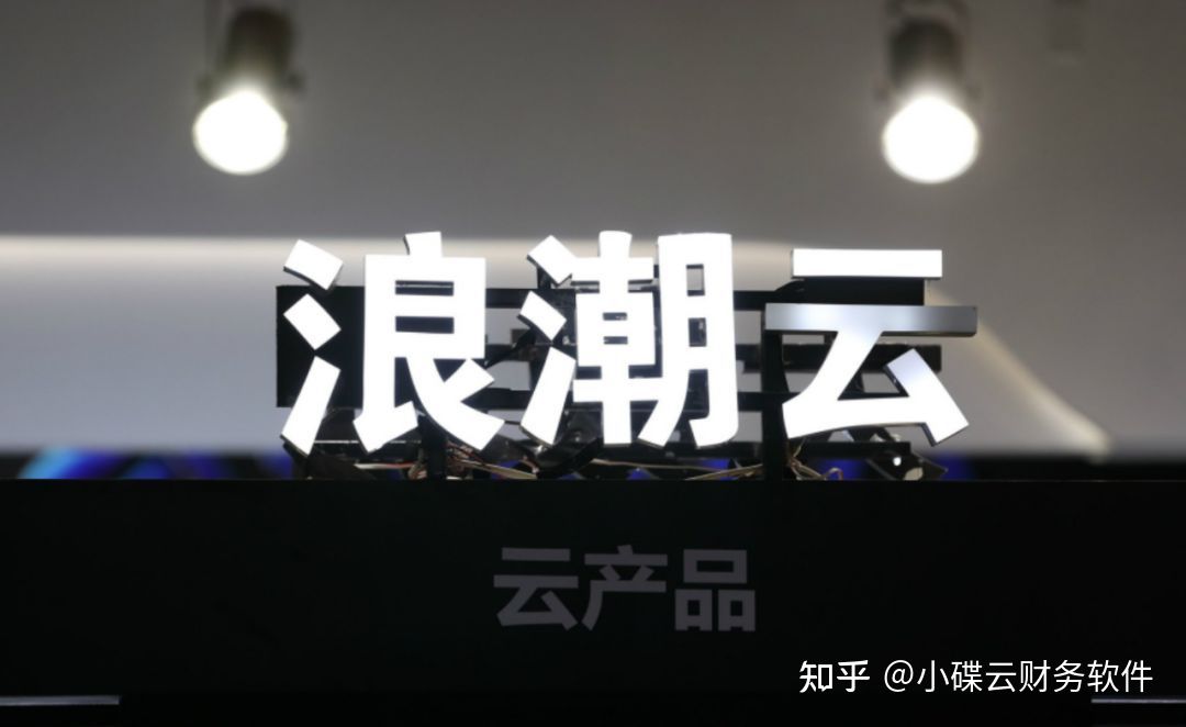 养猪财务用什么财务软件,浪潮财务软件与用友软件区别