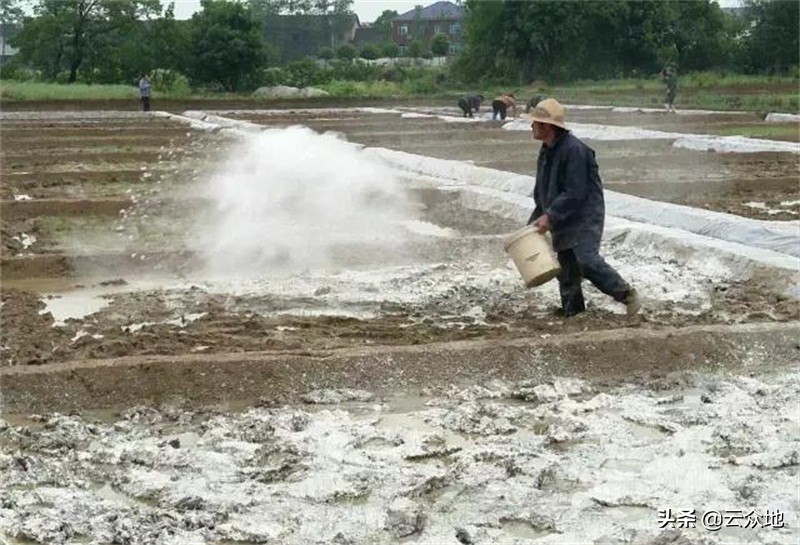 镉超标稻谷如何处理,稻米镉标准