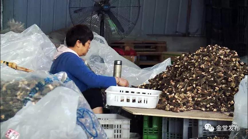 对外交通70年，金堂人霸气“出走”