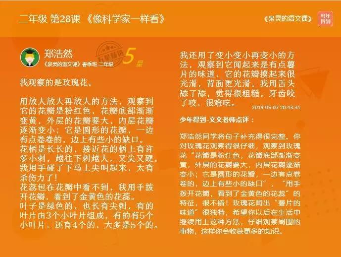你把孩子最宝贵的“自驱力”种子,种进了“热情的保护区”了吗?