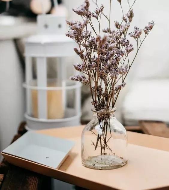 她用这种高颜值的干花装饰家里，隔壁邻居都惊叹不已