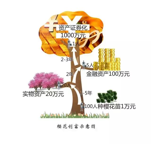 一棵樱桃树净赚多少钱,一棵樱桃树的收益