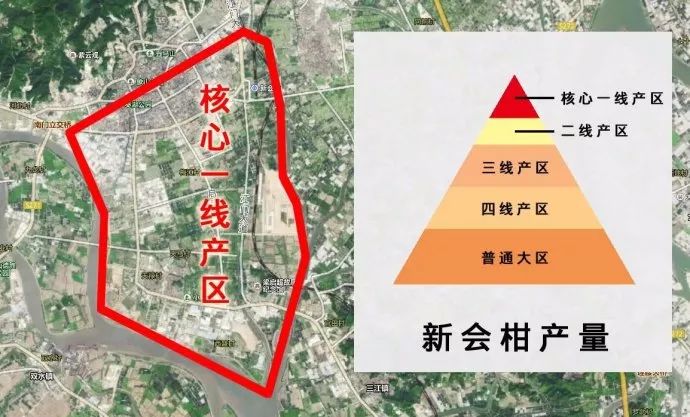 打卡茶产地|收陈皮时节到啦!这有你想get的重点