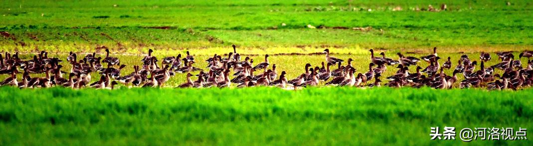 嵩县河道综合治理及景观开发,嵩县环境保护