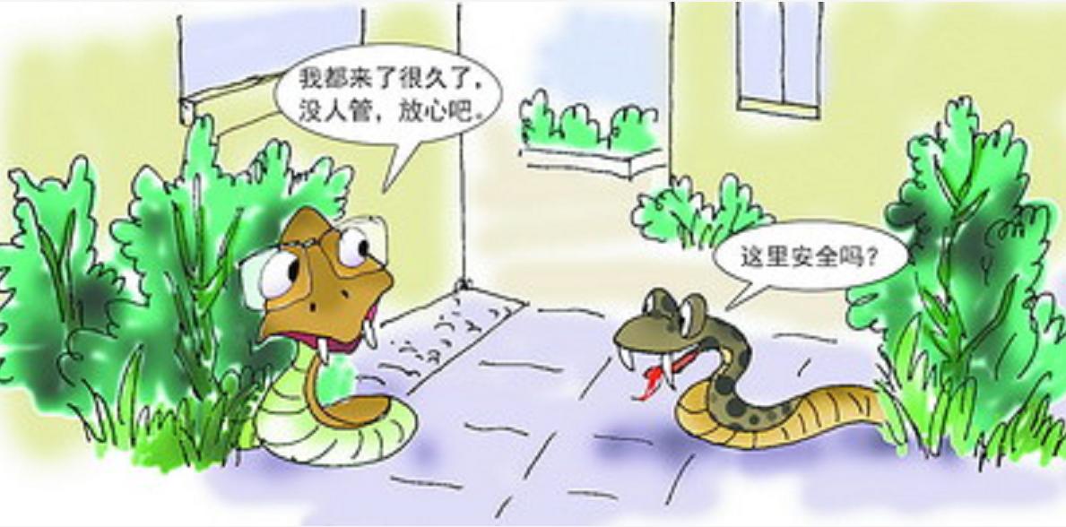 黑龙江省女子与蛇相处15年,黑龙江一女子与蛇共处十几年