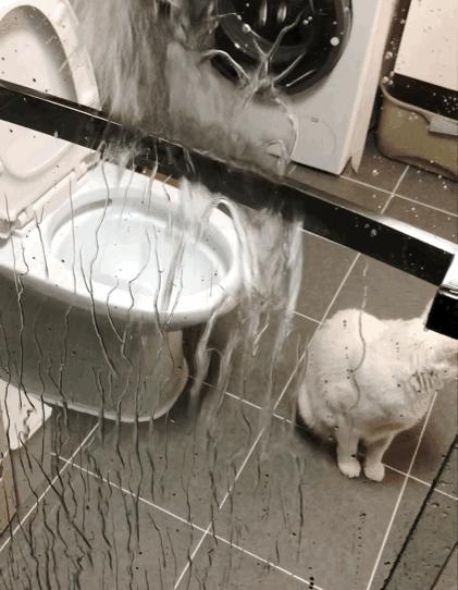 住新房打扫卫生,新房清洁方法和技巧