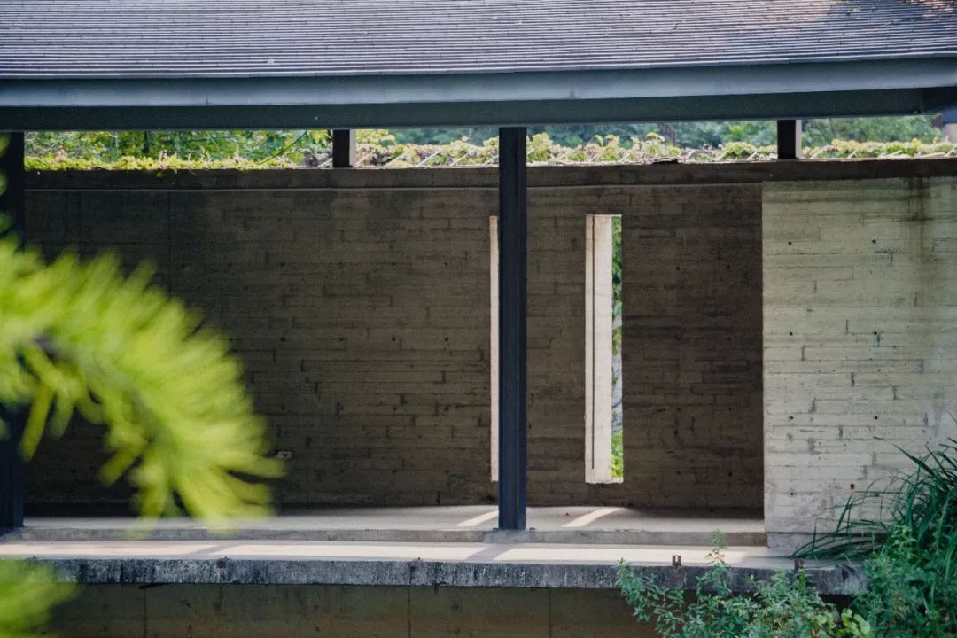 深圳风景最好的岛,深圳有个什么旅游岛