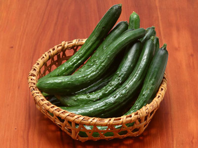 旱黄瓜和水黄瓜有什么区别,水黄瓜和旱黄瓜叶子区别