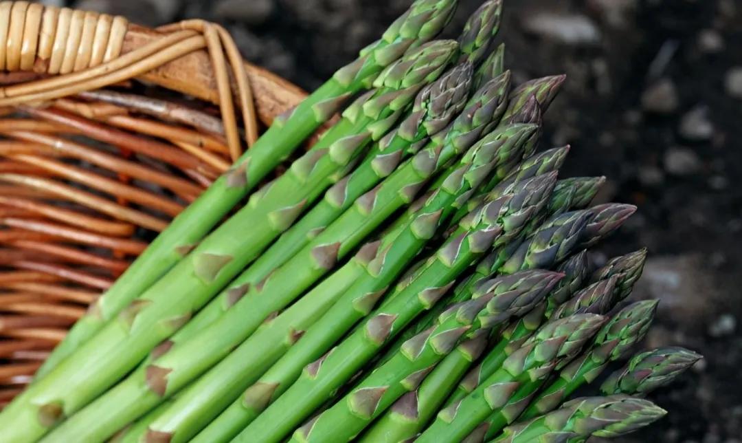 尿酸高痛风忌口的食物一览表,高尿酸痛风患者可以放心吃的食物