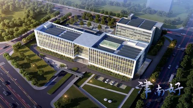 津南区打架,津南区打架视频