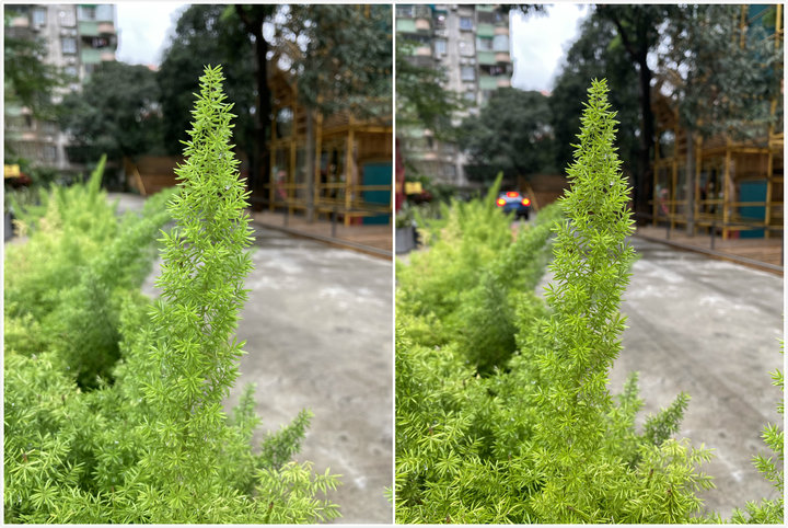 iphonese测评拆机,iphonese和iphone8对比外观