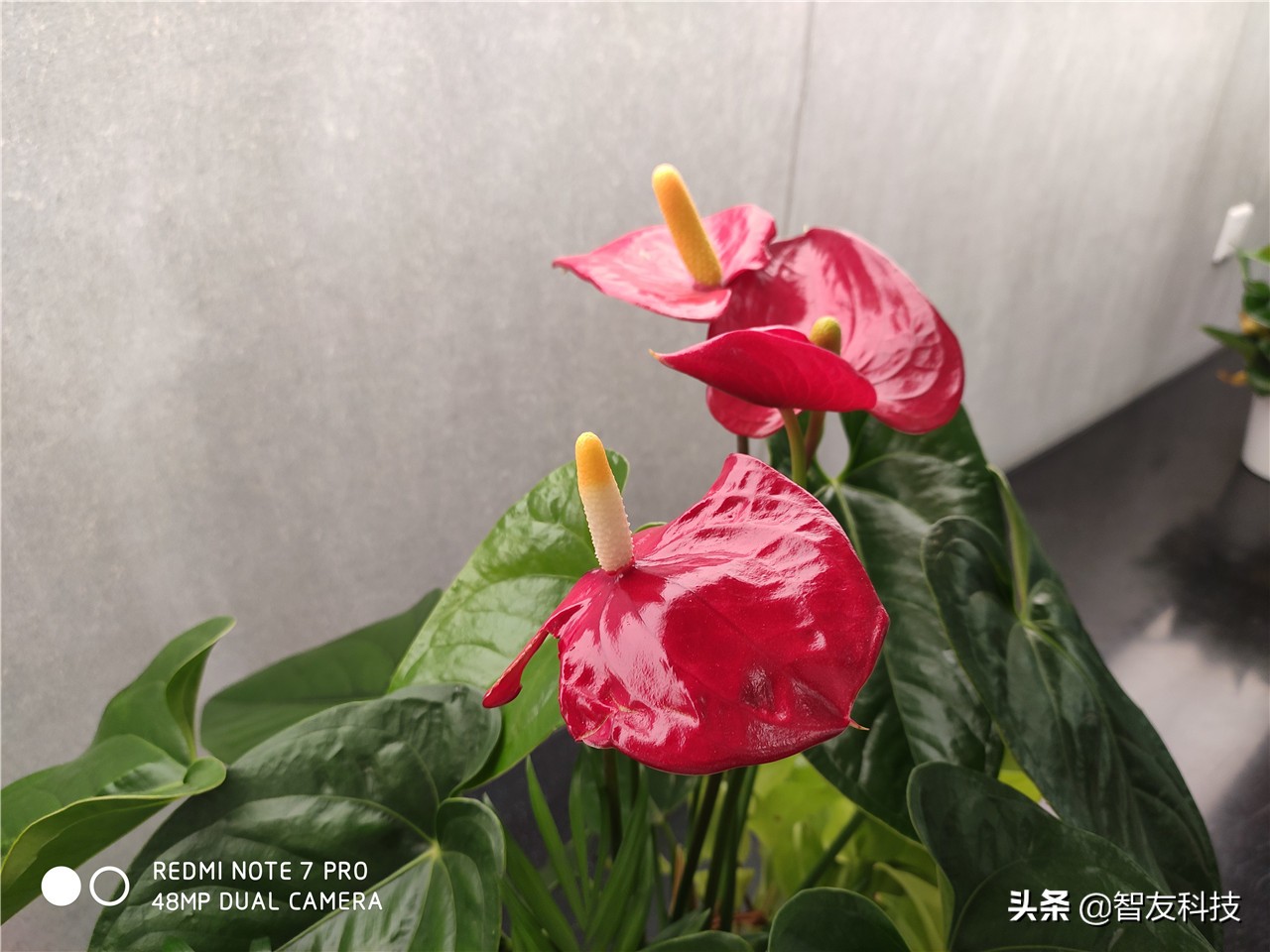 红米note7pro详细参数表,比红米note7pro好的红米手机