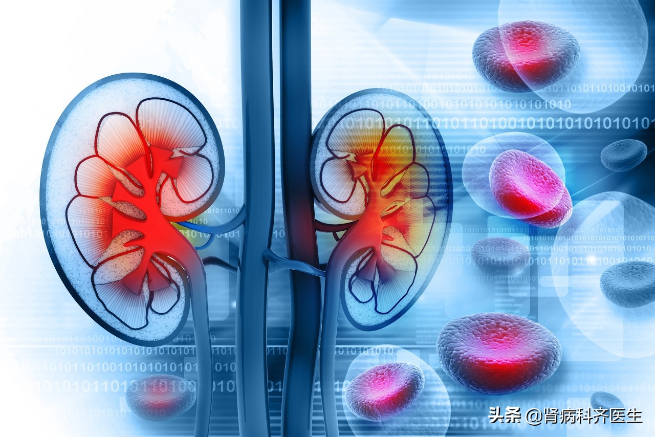 iga肾病的治疗方法大全,iga肾病有什么好的治疗方法