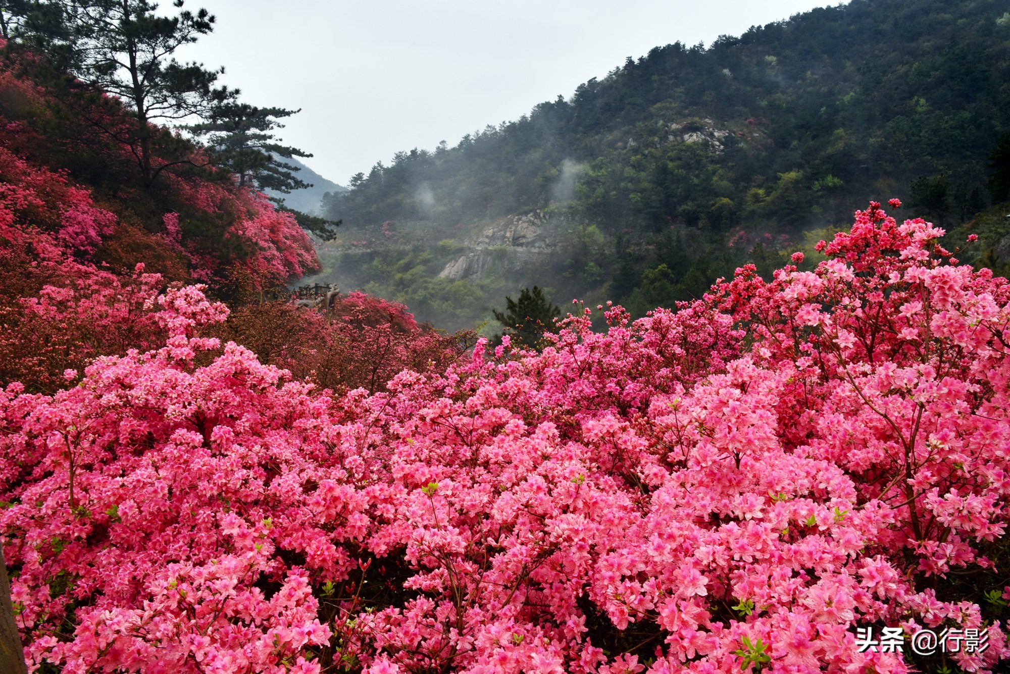 武汉云雾山风景区有什么好玩的,武汉云雾山游玩攻略