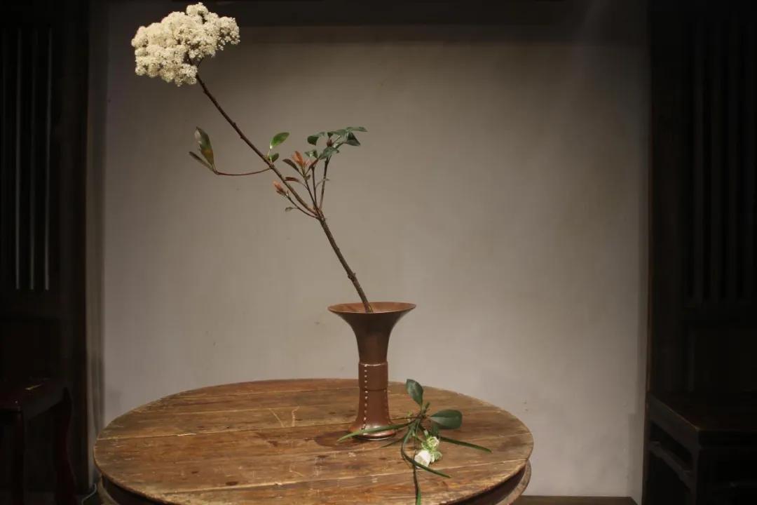 年年皆是,年年皆是如此什么意思