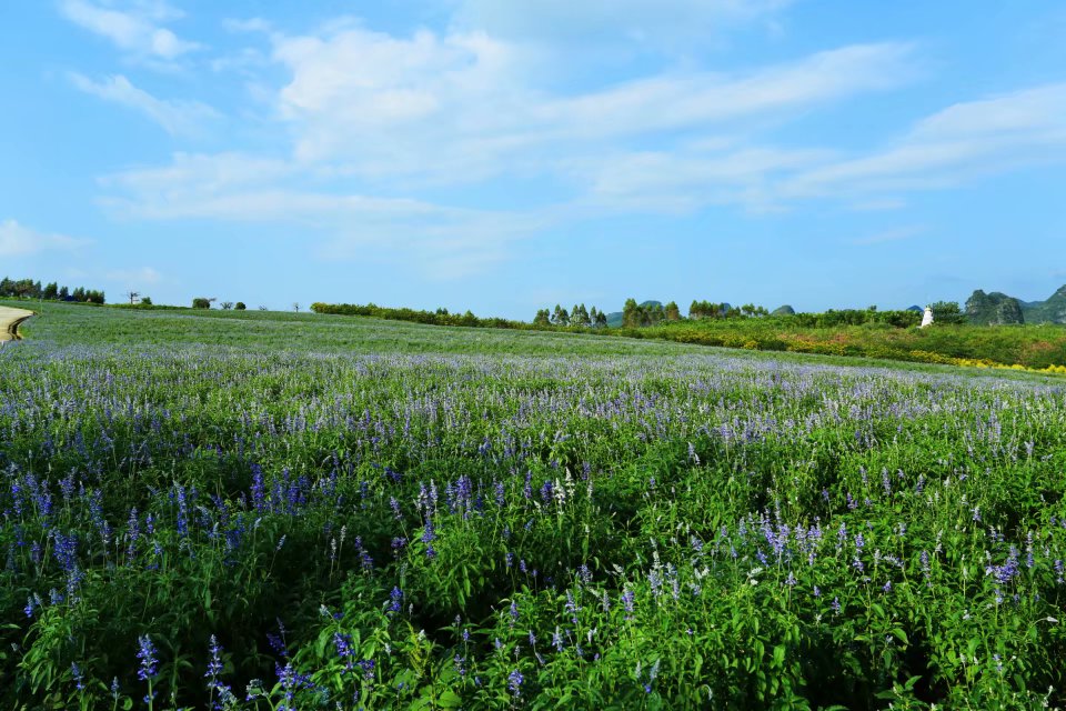 2020最强“广西大全”来了！承包柳州人一整年的旅行