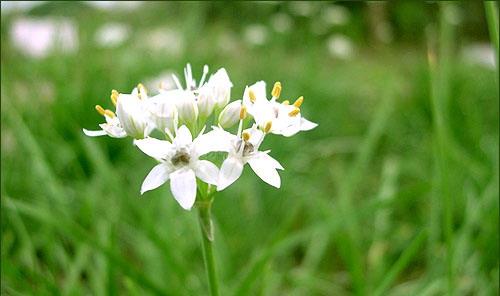 高考备战2017年微写作范文,高考日语写作万能素材