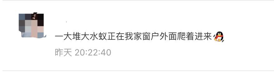 南方暴雨过后的水蚁有多可怕,暴雨后大水蚁怎么处理