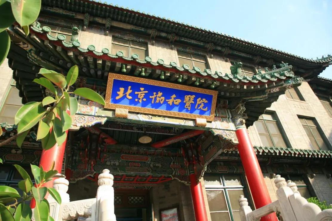 北京肿瘤医院诊疗指南,北京肿瘤医院好住院吗