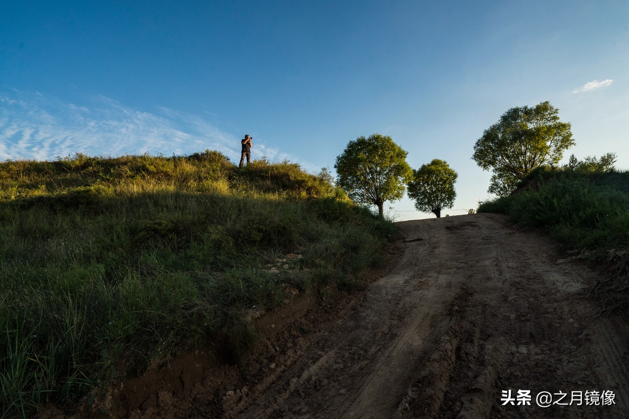 闈栬竟澶ф紶,闈栬竟澶ф紶椋庡厜