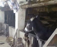 平面设计如何赚钱,平面设计怎么赚钱