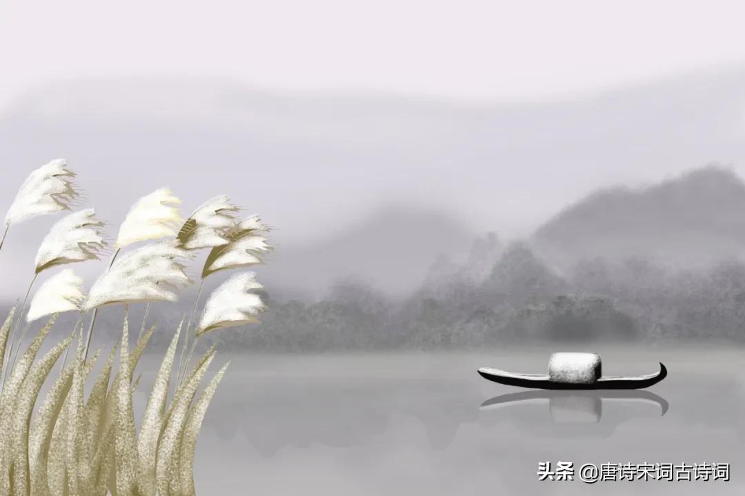 泛乎若不系之舟上一句是什么,苏东坡泛若不系之舟的舟什么意思