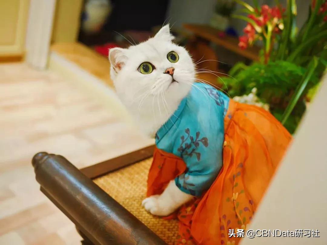 为什么ck现在属于奢侈品牌,ck才是最好的单品