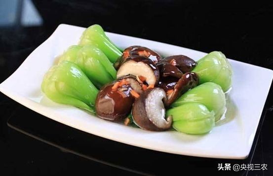 种油菜要选地合理,种油菜怎么种