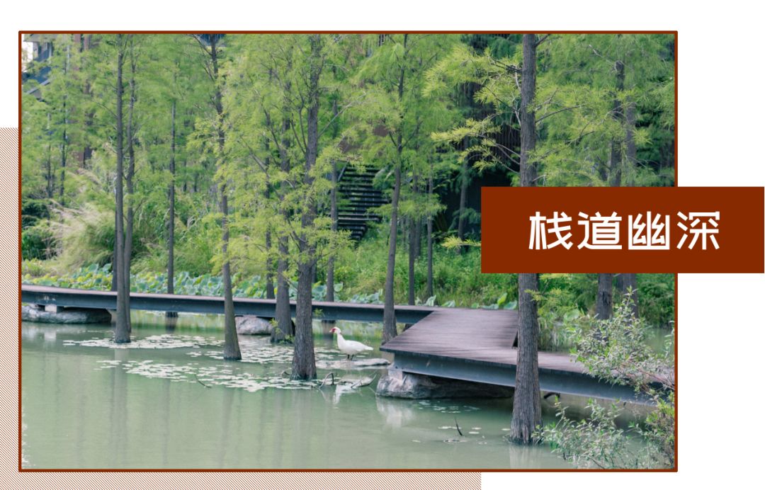 深圳风景最好的岛,深圳有个什么旅游岛