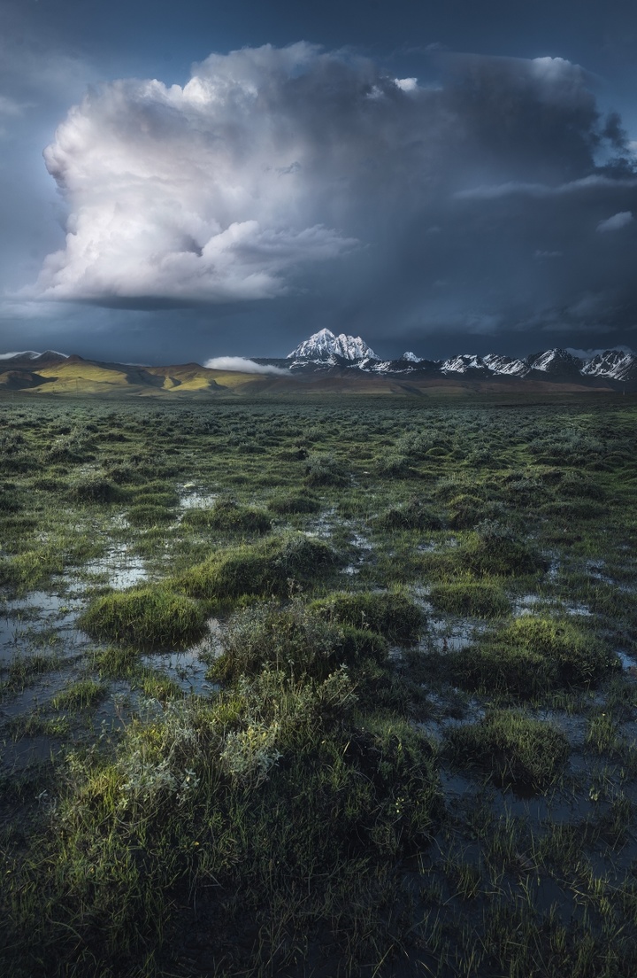 2017米拍十佳摄影师,2023米拍摄影奖名单