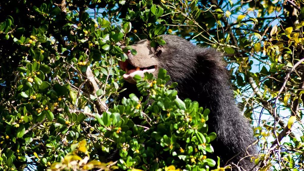 斯里兰卡的风景,风景优美而且物价便宜