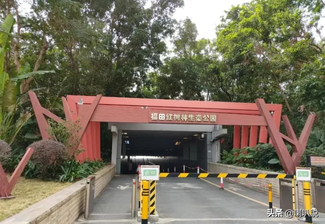 深圳大鹏自驾游十大免费景点推荐,深圳十大免费景点有哪些