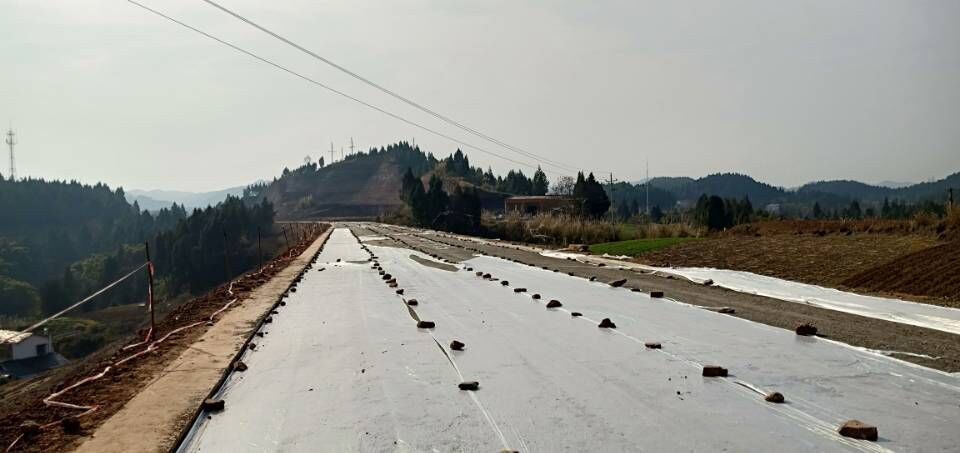 你关心的金宝到七宝寺公路来了！“过年”前能不能通车呢？