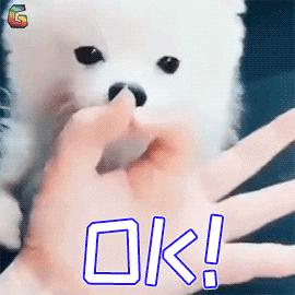 真正实用的清洁面膜,各款清洁面膜的优缺点