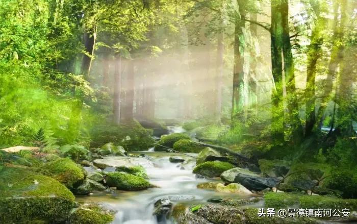 江浙诗友会雅集|三春丽景三春醉,一院清香一院诗