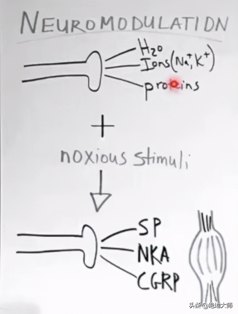 手神经外伤康复视频,治疗手神经损伤的药